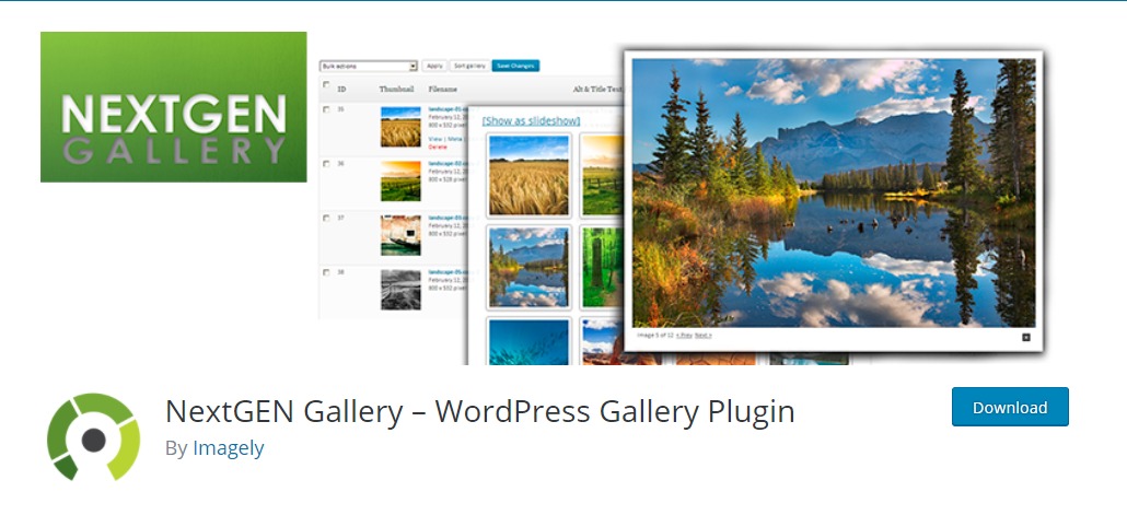 Next-Gen Gallery plugin